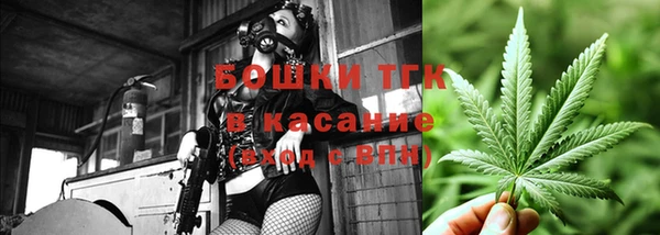 прущие грибы Арсеньев