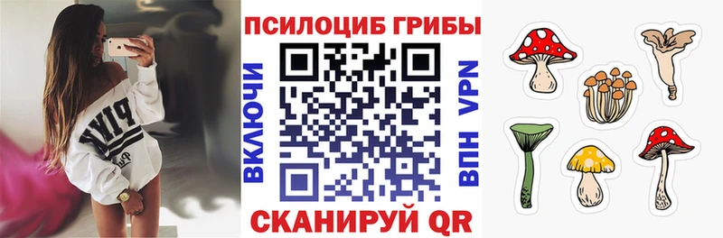 сайты даркнета наркотические препараты  Каменск-Шахтинский  Галлюциногенные грибы GOLDEN TEACHER  наркошоп 